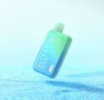 ELF BAR BC10000 5% blueberry mint