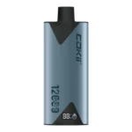 COKII 12000 Puffs Zero Nicotine Disposable Vape UAE
