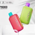 ELFBAR-EP8000-Disposable-Vape-In-Dubai