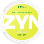 ZYN Citrus Mini Dry 3MG Nicotine Pouches Gen Vape Dubai